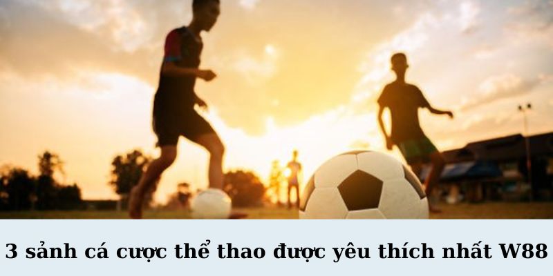 3 sanh ca cuoc the thao duoc yeu thich nhat W88 3 - W88 3 Sảnh Cá Cược Thể Thao Được Yêu Thích Nhất – Trải Nghiệm Đỉnh Cao
