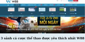 3 sanh ca cuoc the thao duoc yeu thich nhat W88 - W88 3 Sảnh Cá Cược Thể Thao Được Yêu Thích Nhất – Trải Nghiệm Đỉnh Cao